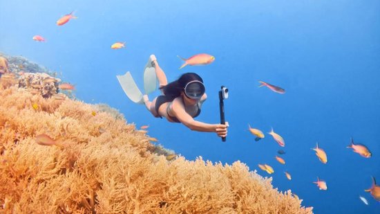 Vrouw met duikbril en flippers filmt met Actioncam onder water tussen koraal en vissen.