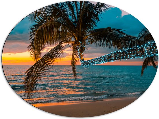 Dibond Ovaal - Palmbladeren Hangend over het Strand bij de Kust - 80x60 cm Foto op Ovaal (Met Ophangsysteem)