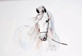 Fotobehang - Vinyl Behang - Wit Paard - Kunst - 416 x 290 cm