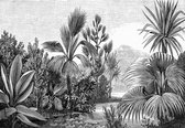 Fotobehang - Vlies Behang - Illustratie van de Jungle in zwart-wit - 208 x 146 cm