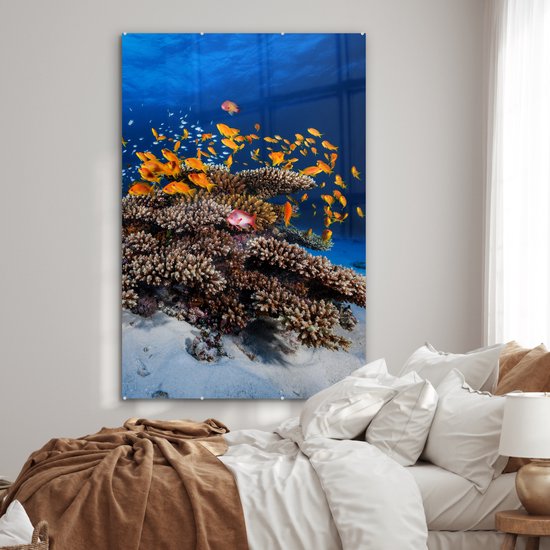 Peinture sur verre - Corail - Poissons - Animaux aquatiques - Oranje - Photo sur verre - Décoration murale - 100x150 cm - Peinture sur verre