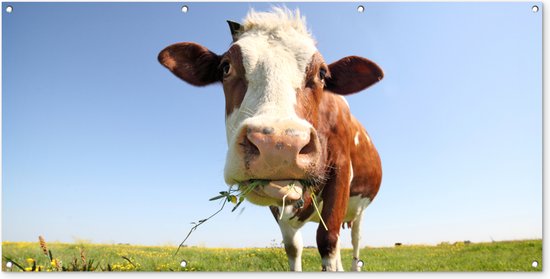 Décoration murale murale d'extérieur Vache - Animal - Fleurs - 160x80 cm