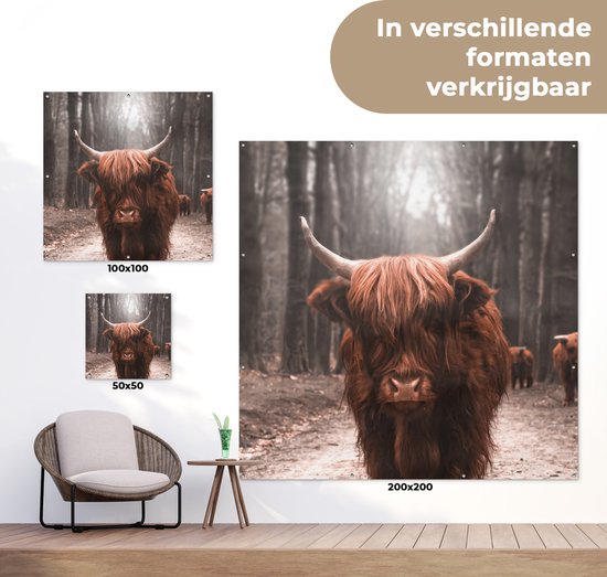 Affiche de Jardin Highlander écossais - Animaux - Vaches - 200x200 cm