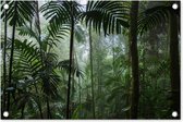 Tuindecoratie Regenwoud - Tropisch - Jungle - Bomen - Planten - 60x40 cm - Tuinposter - Tuindoek - Buitenposter