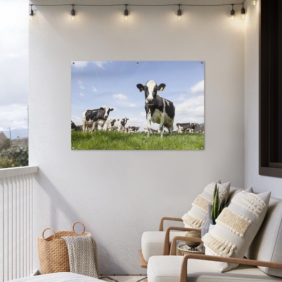 Tuinposter koeien - Tuindecoratie dieren - 120x80 cm - Tuindoek Friesland - Muurdecoratie voor buiten - Schuttingposter - Tuinschilderijen - Tuinwanddecoratie gras - Tuinposters