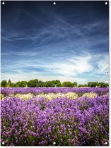 Affiche de jardin - Ciel bleu sur lavande dans la nature - 90x120 cm