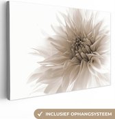 Canvas Schilderij Bloemen - Wit - Natuur - Botanisch - 30x20 cm - Wanddecoratie