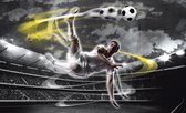 Papier peint photo Polaire | Football | Gris, jaune | 368x254cm (lxh)