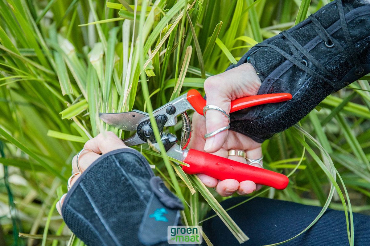 Felco 15 pruning shears with rotating handle