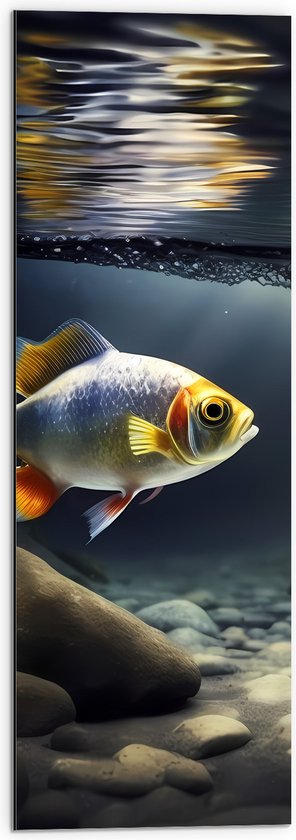 Dibond - Zilver met Oranjekleurige Vis Zwemmend in Aquarium - 30x90 cm Foto op Aluminium (Met Ophangsysteem)