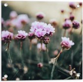 Tuinposter – Bloemen - Veld - Landschap - Natuur - Roze - 50x50 cm Foto op Tuinposter (wanddecoratie voor buiten en binnen)