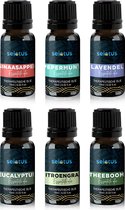 Selotus® - Natuurlijke | Etherische Oliën 6 x 10ML | Essential Oil cadeau verpakking | Geschikt voor Aroma diffusers, Sauna en Bad | | Essentiële olie set | Therapeutische basis