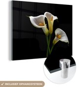 MuchoWow® Glasschilderij 40x30 cm - Schilderij acrylglas - Planten - Bloemen - Wit - Natuur - Botanisch - Foto op glas - Schilderijen