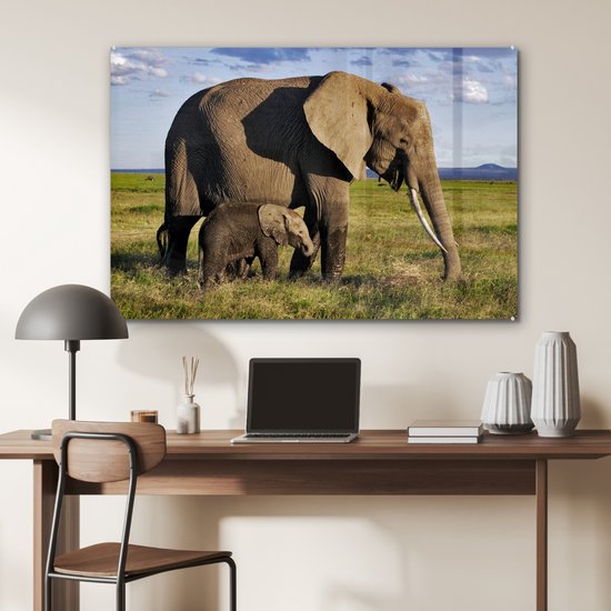MuchoWow® Peinture sur verre 120x80 cm - Peinture sur verre acrylique - Éléphant - Animaux - Prairie - Vert - Grijs - Photo sur verre - Peintures