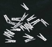 Mini wasknijpers zilver verpakt per 20 stuks