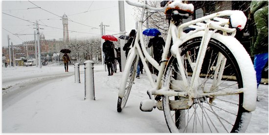 Poster (Mat) - Fiets Geparkeerd in Stad tijdens Sneeuwbui - 100x50 cm Foto op Posterpapier met een Matte look