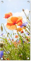 Tuinposter Bloemen - Klaproos - Lente - Natuur - Rood - Blauw - 30x60 cm - Tuindoek - Buitenposter