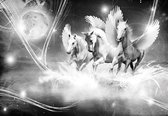 Fotobehang - Vlies Behang - Pegasussen in het Water - Zwart-wit - Unicorns - 416 x 254 cm