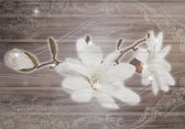 Fotobehang - Vlies Behang - Witte Magnolia Bloem op Houten Planken - 312 x 219 cm