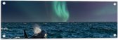 Tuinposter – Noorderlicht boven Orka in de Zee - 90x30 cm Foto op Tuinposter (wanddecoratie voor buiten en binnen)