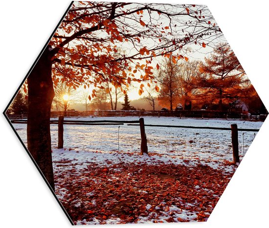 Dibond Hexagon - Landschap - Winter - Bomen - Bladeren - Sneeuw - Zonsondergang - 40x34.8 cm Foto op Hexagon (Met Ophangsysteem)