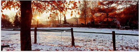 Poster Glanzend – Landschap - Winter - Bomen - Bladeren - Sneeuw - Zonsondergang - 90x30 cm Foto op Posterpapier met Glanzende Afwerking