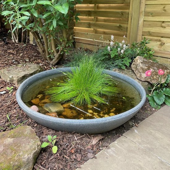 Grijze, ronde waterkom in de tuin met drijvende groene grassen en stenen.