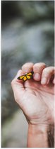 Poster Glanzend – Mini Gele Vlinder op Nagel van Mensen Hand - 20x60 cm Foto op Posterpapier met Glanzende Afwerking