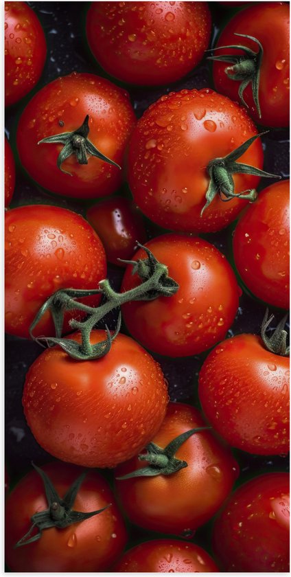 Poster (Mat) - Trossen Rijpe Rode Tomaten - 50x100 cm Foto op Posterpapier met een Matte look