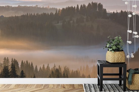 Papier peint photo Forêt dans la brume - Papier peint non tissé - 400 x 280 cm