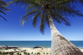 Fotobehang Strand Oceaan Palmbomen - Vliesbehang - 416 x 254 cm