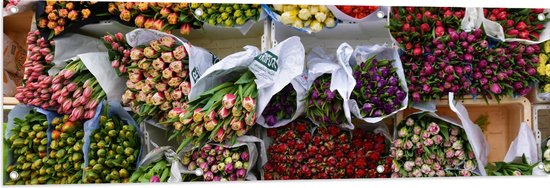 Tuinposter – Markt - Bloemen - Tulpen - Rozen - Hout - Kleuren - 150x50 cm Foto op Tuinposter (wanddecoratie voor buiten en binnen)