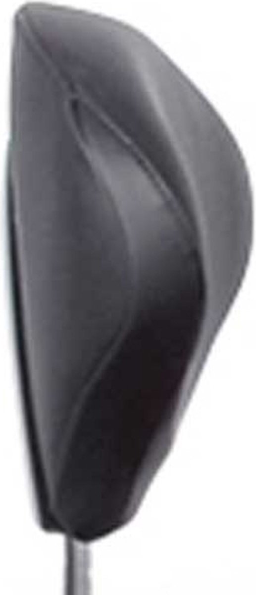 SHAD SYM Cruisym 125i/300i Rugsteun