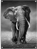 Tuinposter Wandelende olifant 80x60 cm