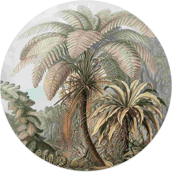 Plexiglasschilderij Palmboom Ø 50 cm