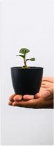 Poster Glanzend – Plant - Handen - Bloempotje - Groen - 20x60 cm Foto op Posterpapier met Glanzende Afwerking