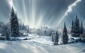 Fotobehang Beautiful Winter Landscape. Majestic White Spruces Glowing By Sunlight. Picturesque And Gorgeous Wintry Scene. - Vliesbehang - 416 x 290 cm