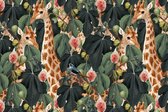 Fotobehang Giraffen Tussen De Bladeren - Vliesbehang - 208 x 146 cm