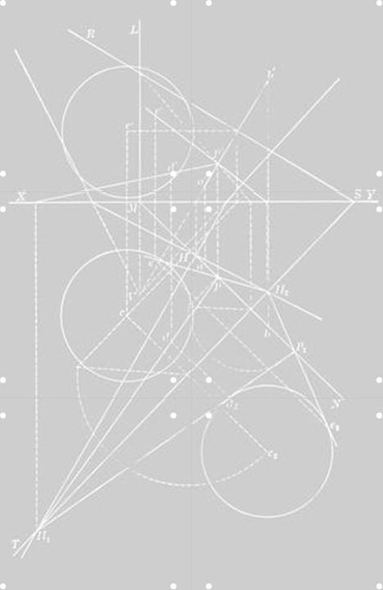 IXXI Compases Grey - Wanddecoratie - Line art - 40 x 60 cm