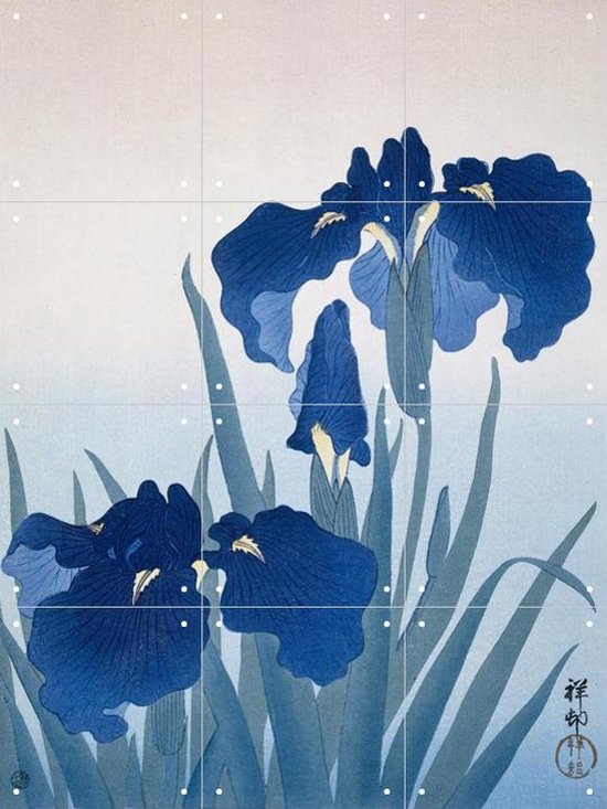 IXXI Irisis - Wanddecoratie - 80 x 60 cm