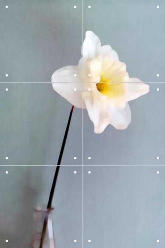 IXXI Narciso - Wanddecoratie - Fotografie - 40 x 60 cm