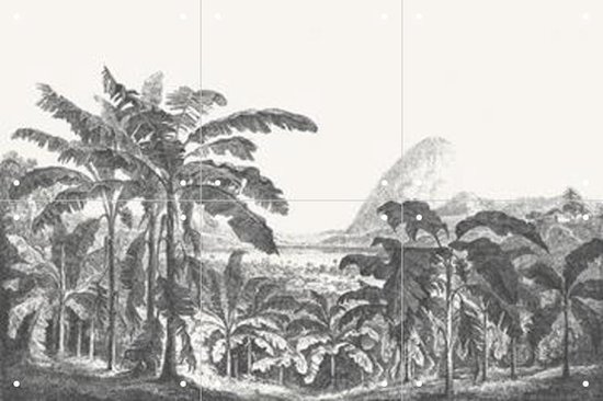 IXXI Palms and Mountain - Wanddecoratie - Bloemen en Planten - 60 x 40 cm
