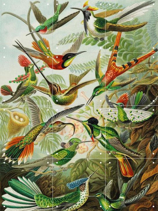 IXXI Hummingbirds - Wanddecoratie