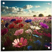 Tuinposter – Schapenwolken boven Veld Vol met Bloemen in Verschillende Kleuren - 50x50 cm Foto op Tuinposter (wanddecoratie voor buiten en binnen)