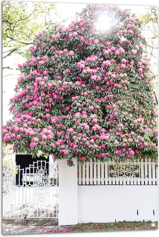 Tuinposter – Bomen - Bloemen - Planten - Roze - Poort - Auto - Muur - 70x105 cm Foto op Tuinposter (wanddecoratie voor buiten en binnen)