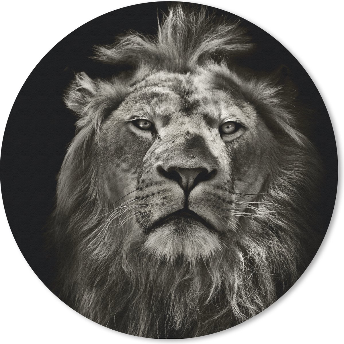 Muismat rond 30x30 cm - Mousepad Leeuw - Dieren - Portret - Wild - Zwart wit - Ronde muismatten