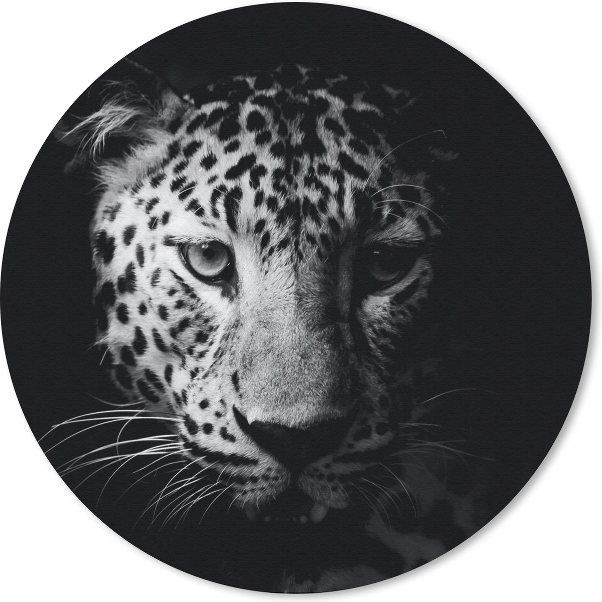Muismat rond 20x20 cm - Mousepad Panter - Wilde dieren - Zwart wit - Dieren - Ronde muismatten