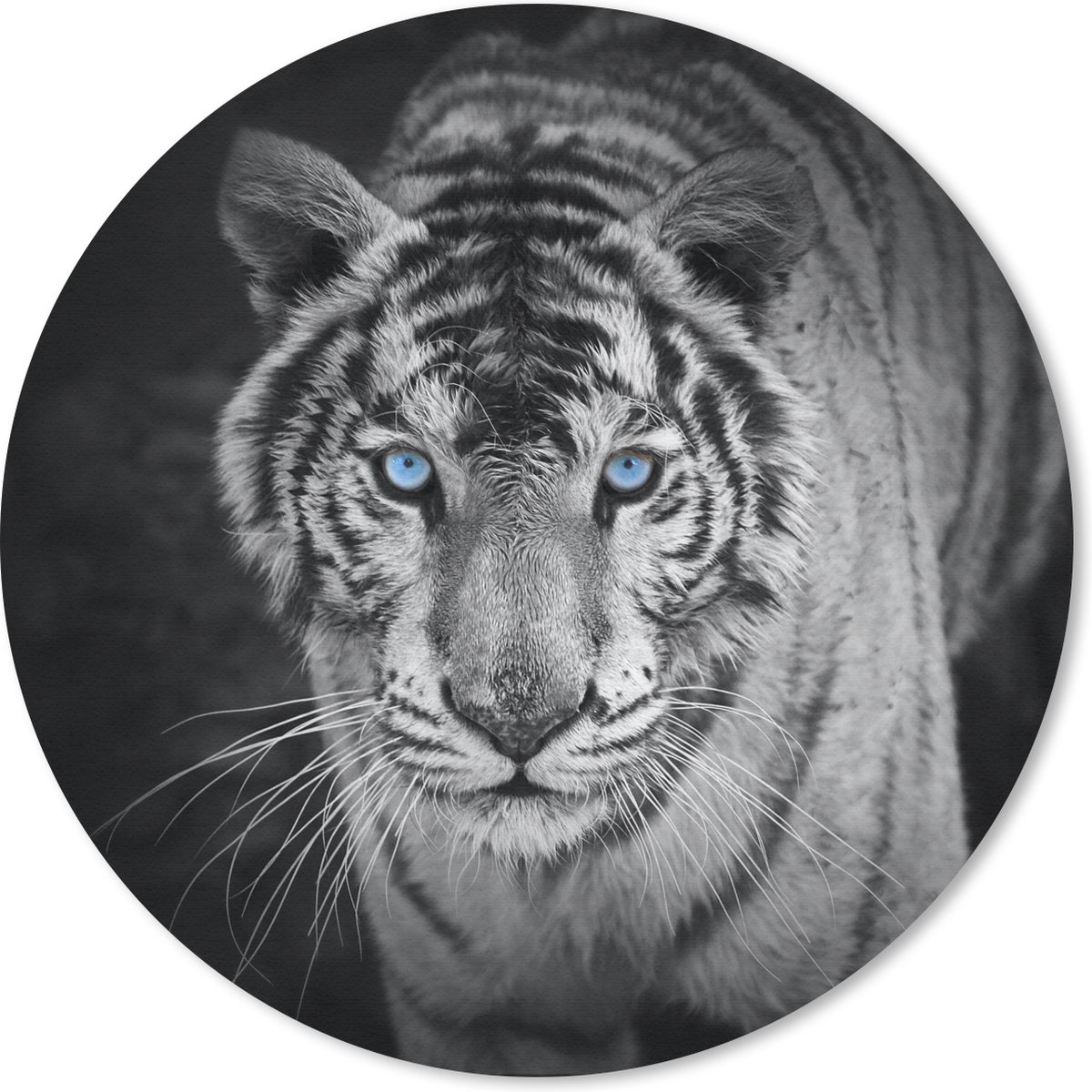 Muismat rond 30x30 cm - Mousepad Dieren - Tijger - Zwart wit - Ogen - Blauw - Ronde muismatten