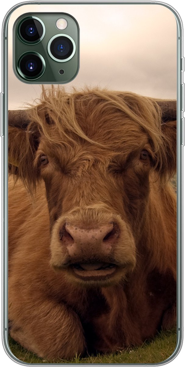 Telefoonhoesje Geschikt voor iPhone 11 Pro Max hoesje - Schotse Hooglander - Dieren - Berg - Siliconen Telefoonhoesje Telefoonhoesje