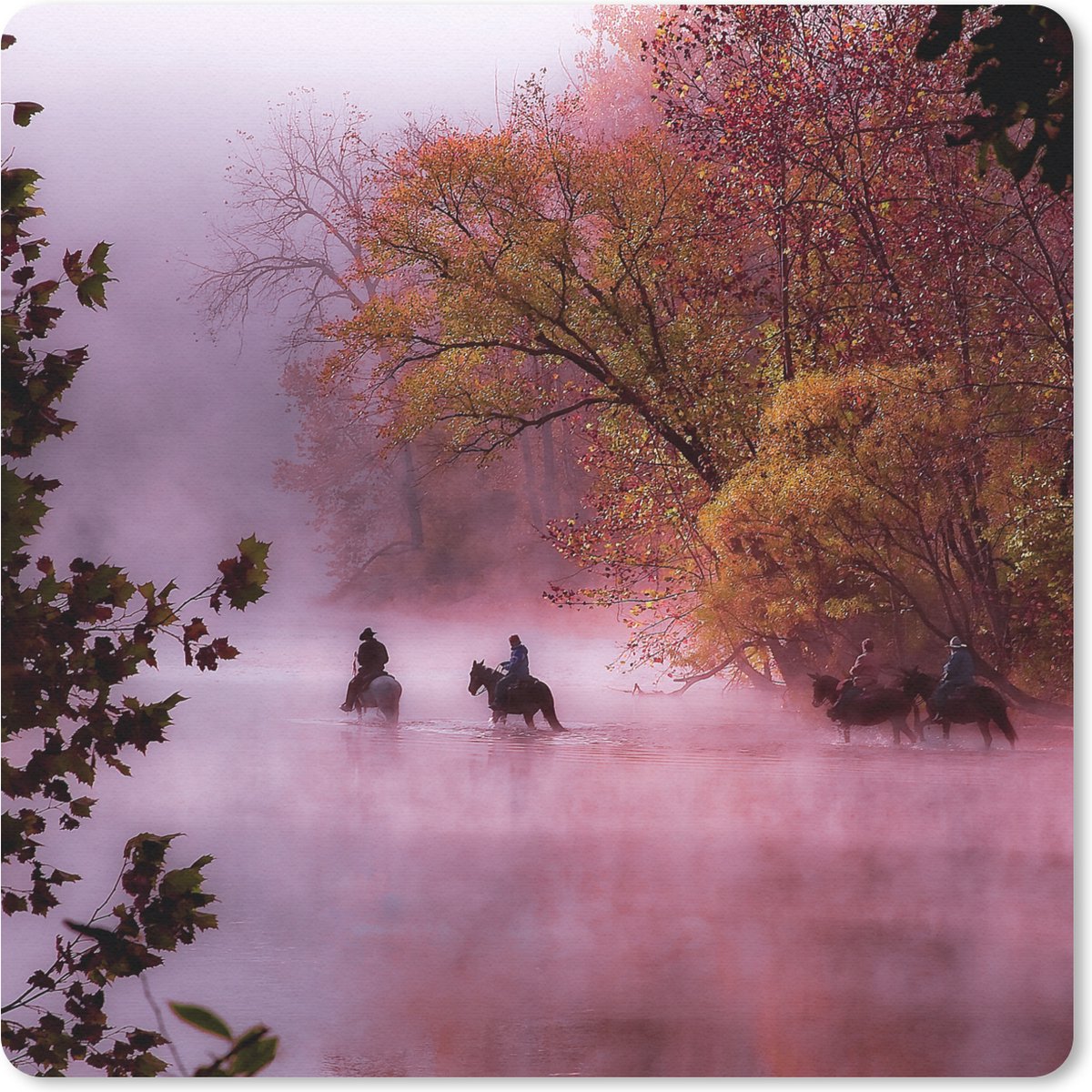 Muismat 30x30 cm - Mousepad Paarden - Mist - Bos - Muismatten